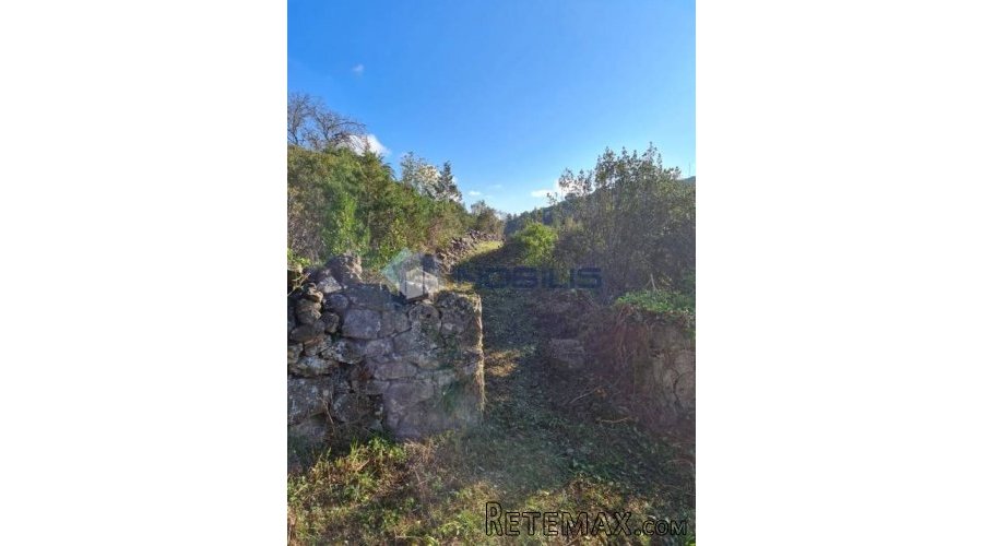 Vis, stara kamena kuća 40 m2 sa zemljištem 9.000 m2 - 6