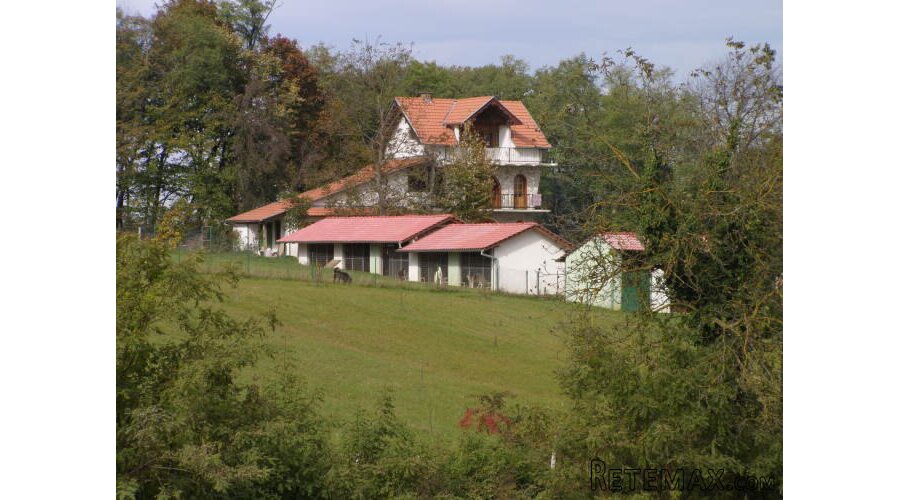 Kuca Đurđevac sa okucnicom 20.000m2 i pomocnim objektima