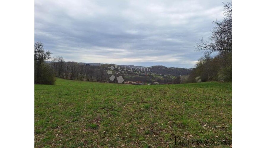 Veliko i uredno sa dosta šume