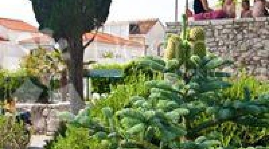 PREKRASNA KAMENA KUĆA U CENTRU PUNTA - 2