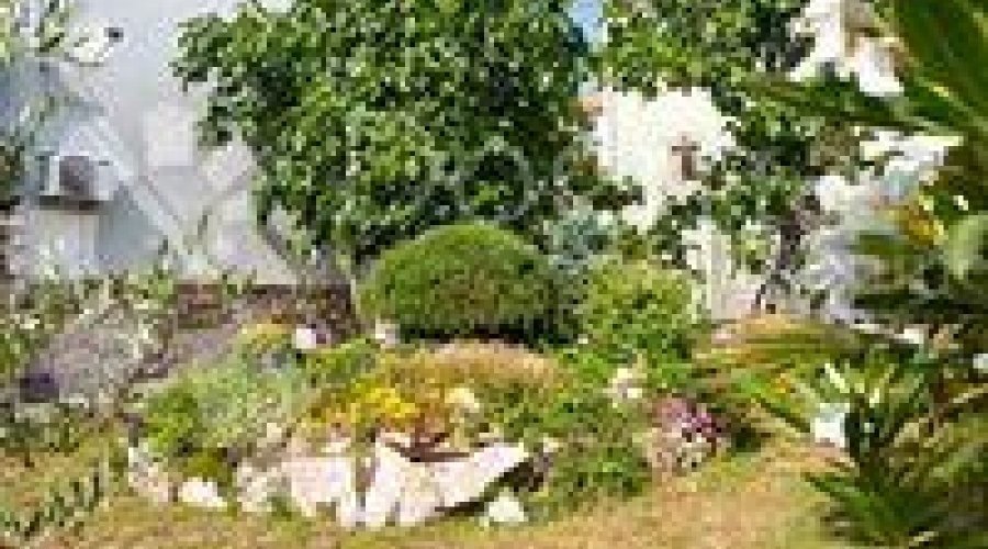 PREKRASNA KAMENA KUĆA U CENTRU PUNTA - 4