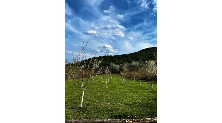VOĆNJAK IZ SNOVA 3.812 m² – Boričevac