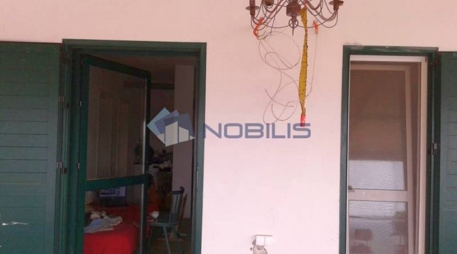 Vis, polje, kuća 100 m2 s nadstrešnicom 20 m2 i 13000 m2 z.. - 5
