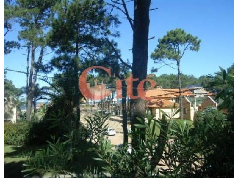 4 Bedroom House - For Rent -.. - 2
