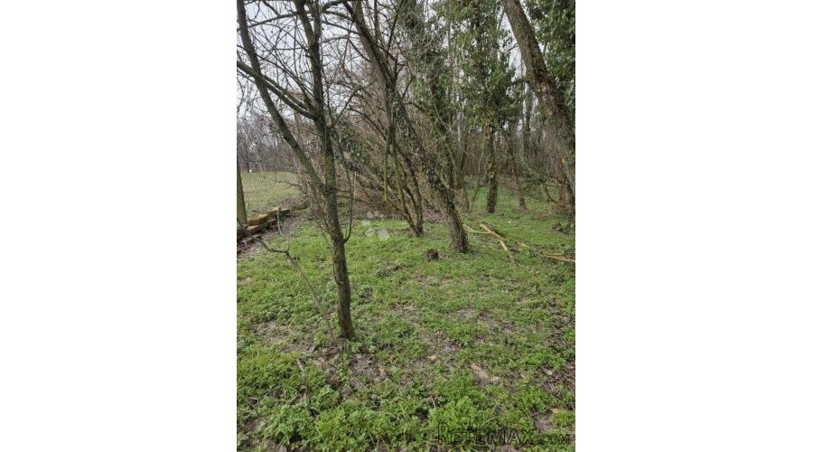 HITNO! Zemljište Kraljevo brdo, Dalj planina - 2