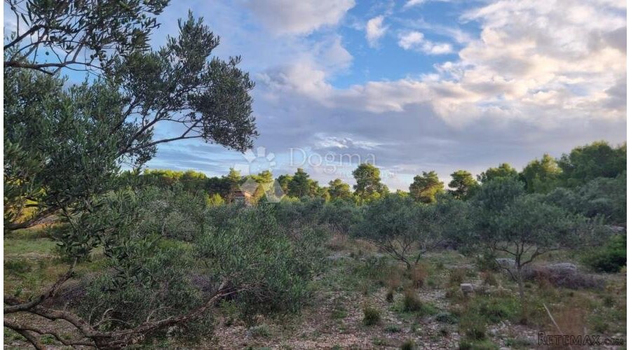 Poljoprivredno zemljište 13472 m2- Milna,Brač - 2
