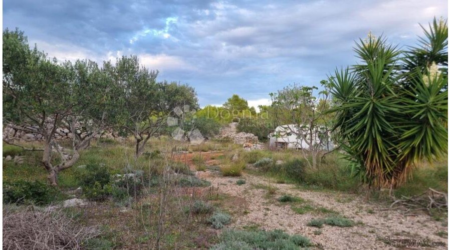 Poljoprivredno zemljište 13472 m2- Milna,Brač - 3