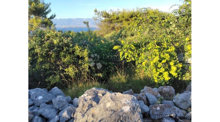 POLJOPRIVREDNO ZEMLJIŠTE 1360 m² – OTOK VIR (650 METARA OD M