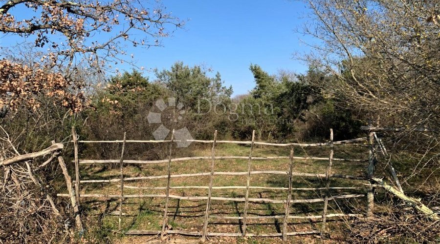 BALE – okolica, velika pacela, voda i struja u blizini