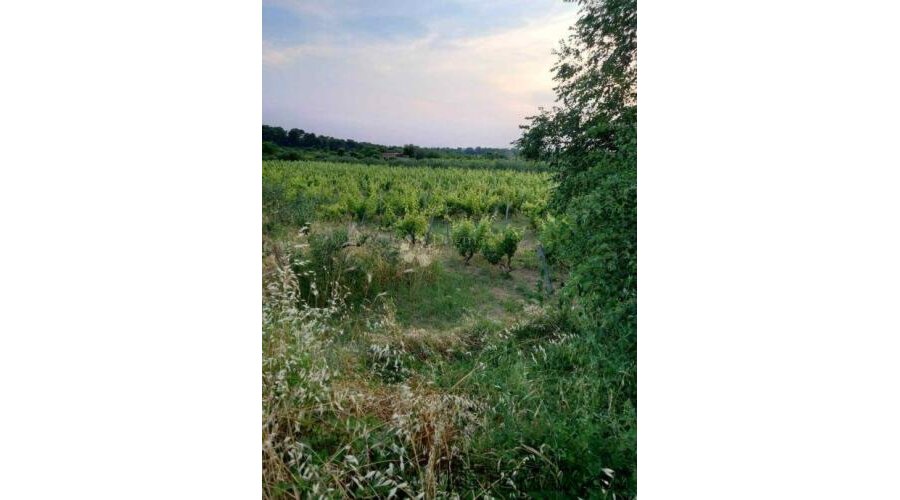 Građevinsko zemljište u Benkovcu – 1.871 m², pristupačna lok - 2