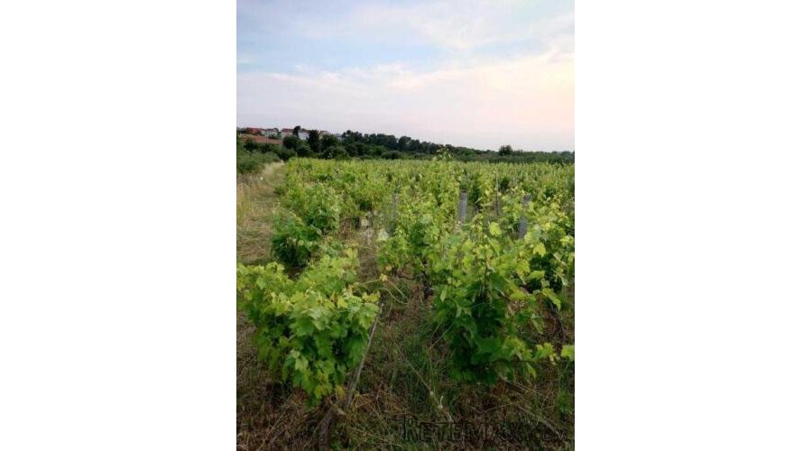 Građevinsko zemljište u Benkovcu – 1.871 m², pristupačna lok - 3