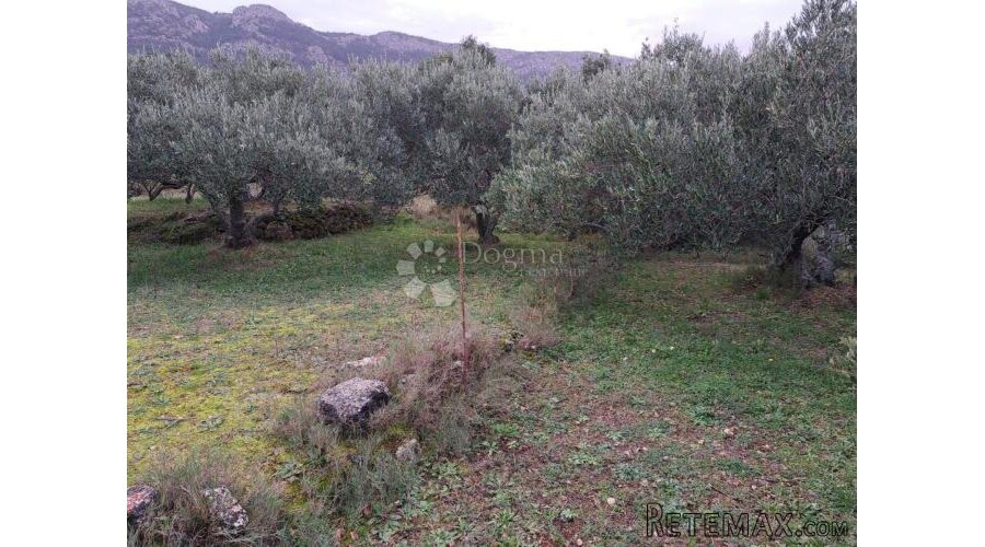 Poljoprivredno zemljište Hvar 48000m2 - 2
