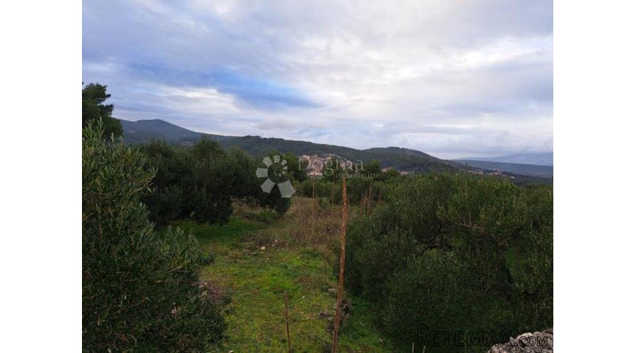 Poljoprivredno zemljište Hvar 48000m2 - 3