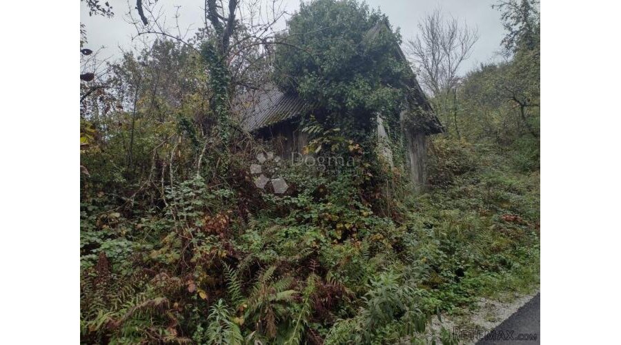 6.5 Ha u divljini s mogućnošću kupnje još zemlje - 3