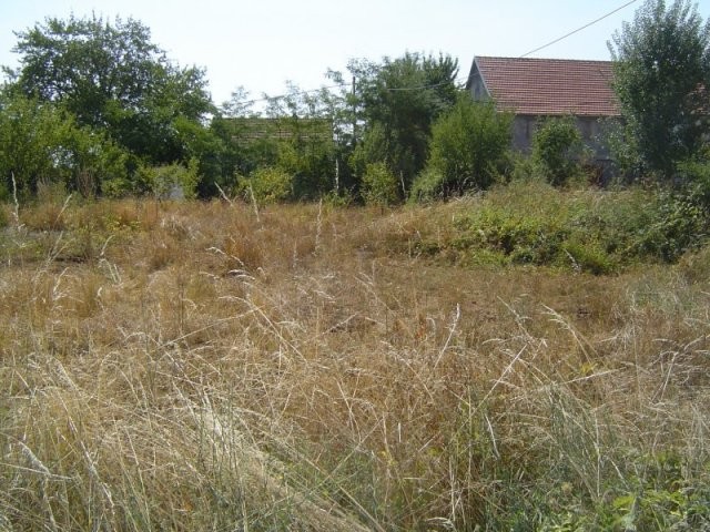 Land in Cetinje