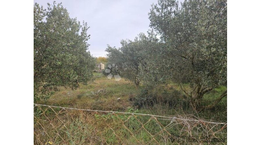 Građevinsko zemljište u Polači – mir, priroda i tradicija u - 2