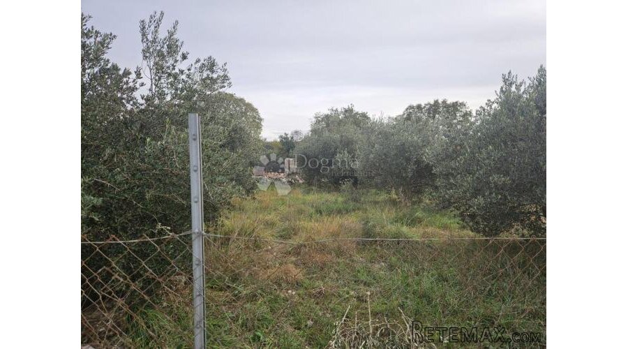 Građevinsko zemljište u Polači – mir, priroda i tradicija u - 3