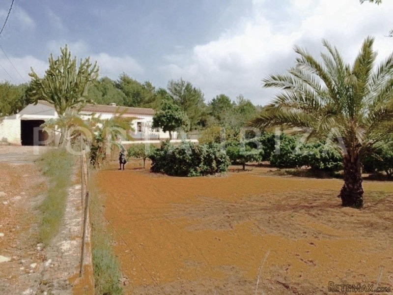 Wonderful Finca for renovation in.. - 2