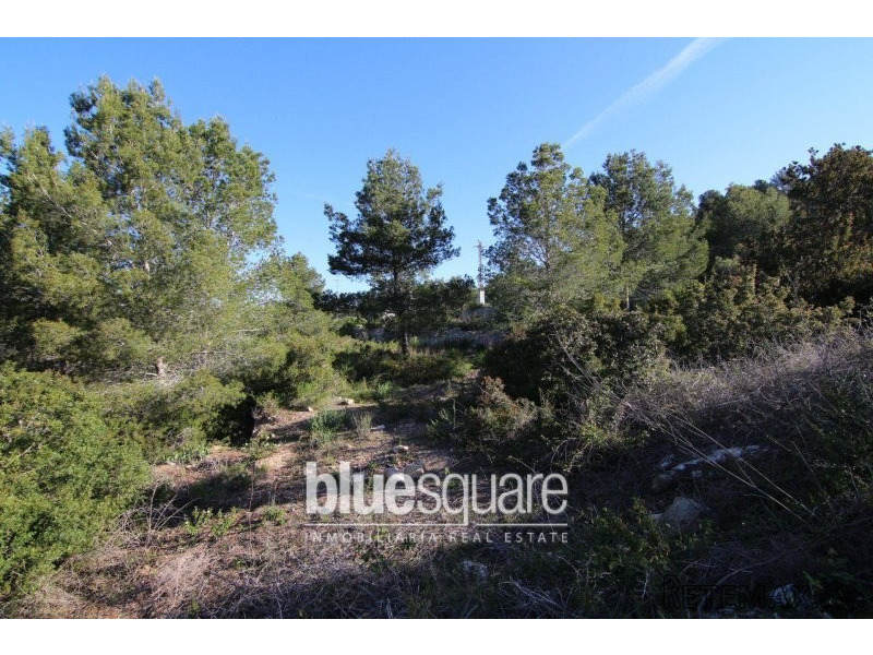 Large plot of over 5000m2 within..
