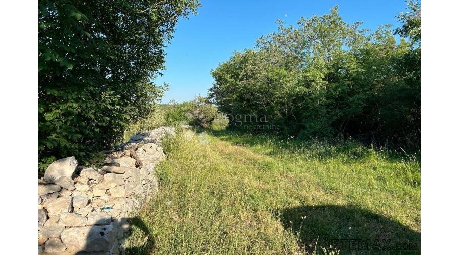 ROVINJ – perfektan maslinik 5 km od Rovinja - 3