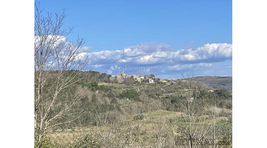 ZEMLJIŠTE SA POGLEDOM GROŽNJAN, MORE I MASLINIKE - 3
