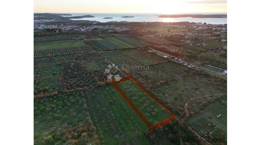 Poljoprivredno zemljište s maslinikom u Fažani, 800 m od mor