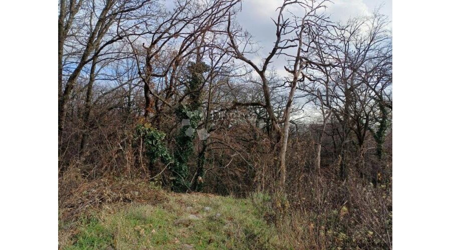 Matulji, novo - teren s pogledom na more ! - 2