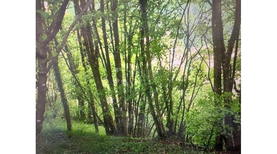 Poljoprivredno zemljište 1600 m2 kod Samobora - 2