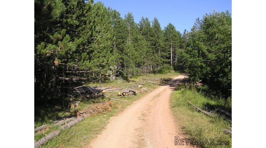 PRODAJA ZEMLJIŠTA-RUDOPOLJE BRUVANJSKO-58.188m² - 2