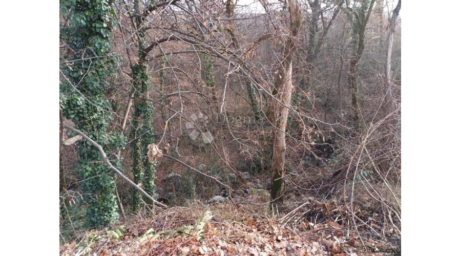 Matulji, novo - teren s pogledom na more ! - 3