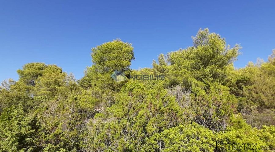 Vis, zemljište 8.384 m2 SNIŽENO - 3