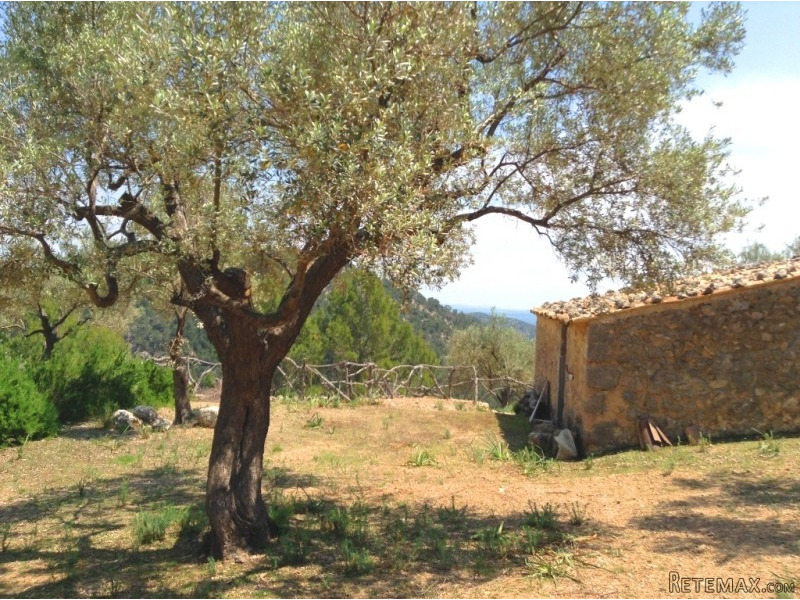 1 Bedroom - Finca - Islas Baleares -..