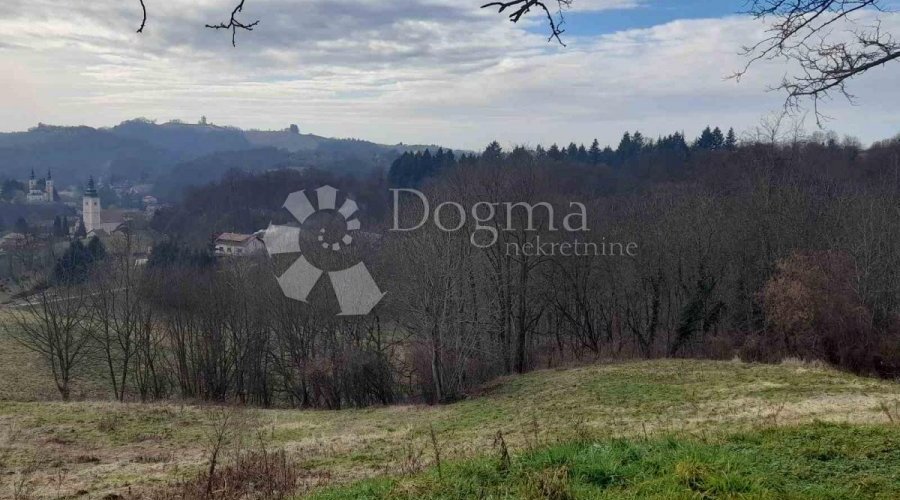 VIŠE OD 4,6 HEKTARA SA SPEKTAKULARNIM POGLEDOM - 8