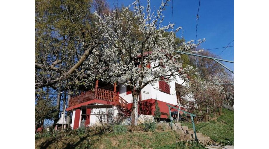 Mirna lokacija i potpuna privatnost - vikendica s vinogradom