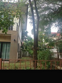 House / Home For Rent Muang Khon Kaen.. - 2