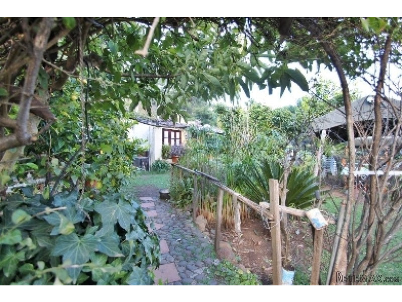 1 Bedroom - Finca - Malaga - For Sale - 2