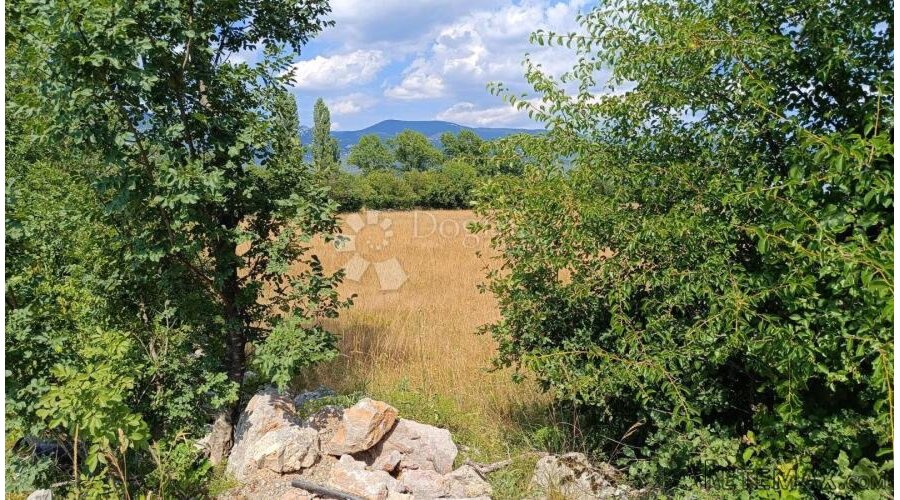 Čavle, zemljište 3500 m2 sa građevinskom dozvolom - 2
