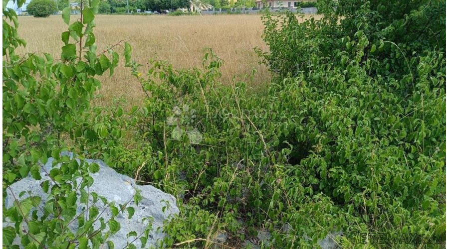 Čavle, zemljište 3500 m2 sa građevinskom dozvolom - 3