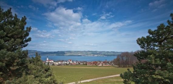 BRIGHT PROSPECTS FOR HIGH HOUSING..
