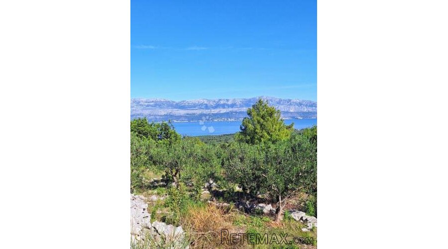 POLJOPRIVREDNO ZEMLJIŠTE NA ODLIČNOJ LOKACIJI – MIRCA, BRAČ