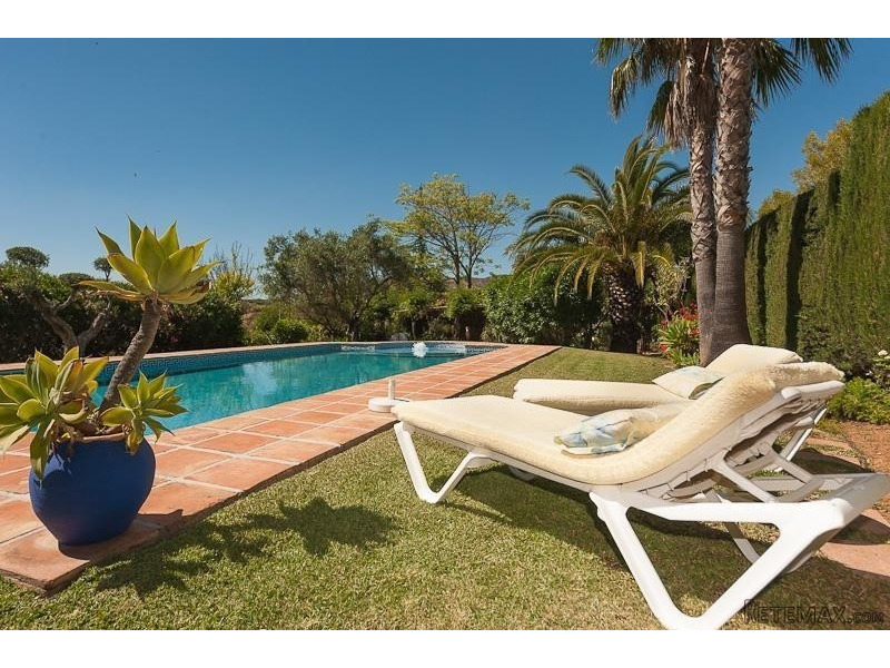 5 BEDROOM Finca Villa - 2