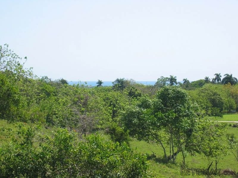 Finca Style Lot For Sale In Cabarete D9 - 2