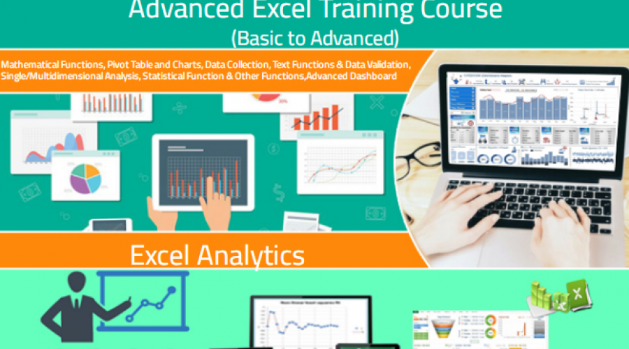 Online Excel Course in Delhi, 110008 with Free Python by SLA