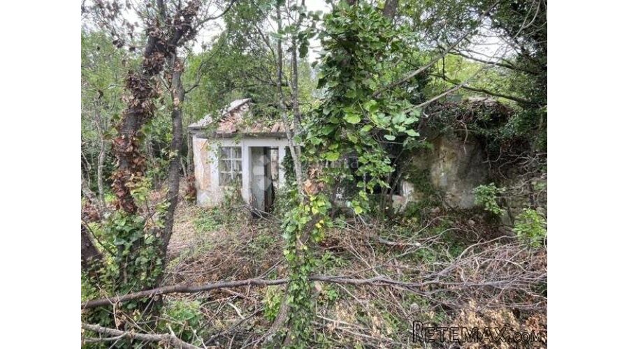 Ruševna starina u crikveničkom zaleđu - 3
