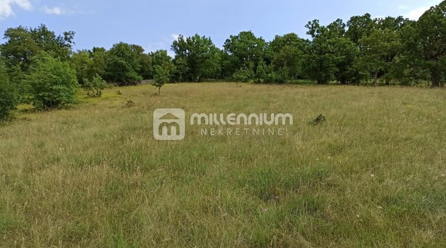 Krasica, zemljište od 7.776m2 - 2