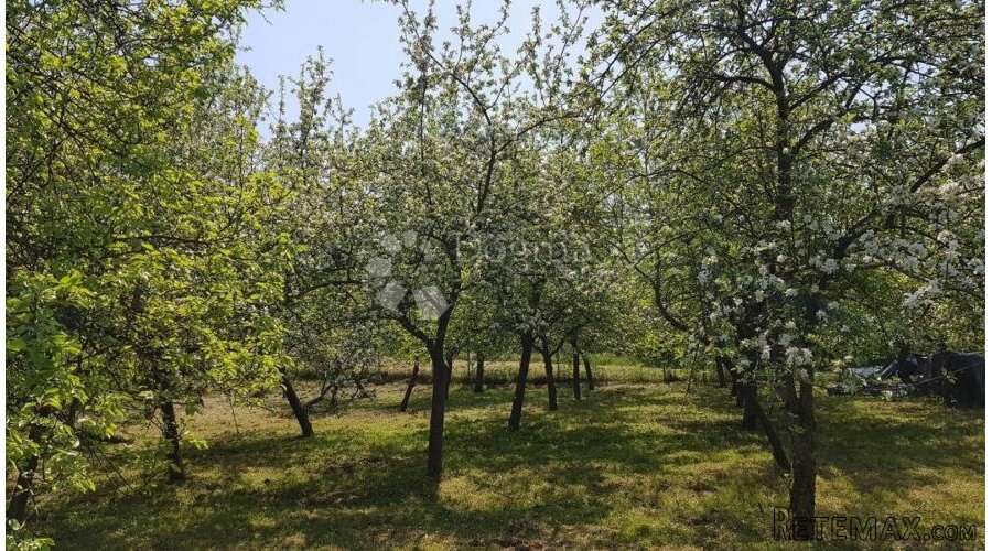 Drnek Velika Gorica 1700m2 uz Savu! - 3