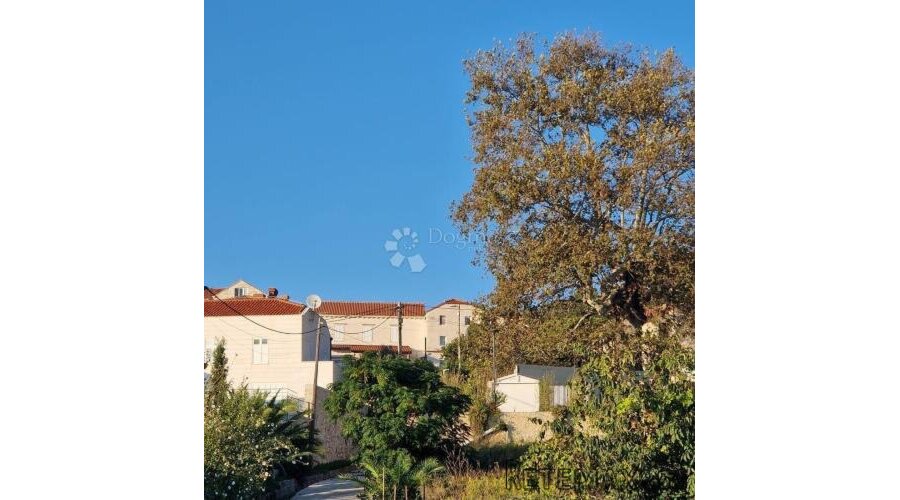 Kuća s velikim potencijalom za život ili turizam – Orašac - 3
