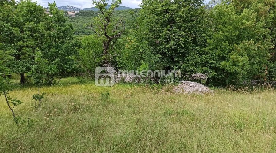 Krasica, zemljište od 7.776m2 - 4