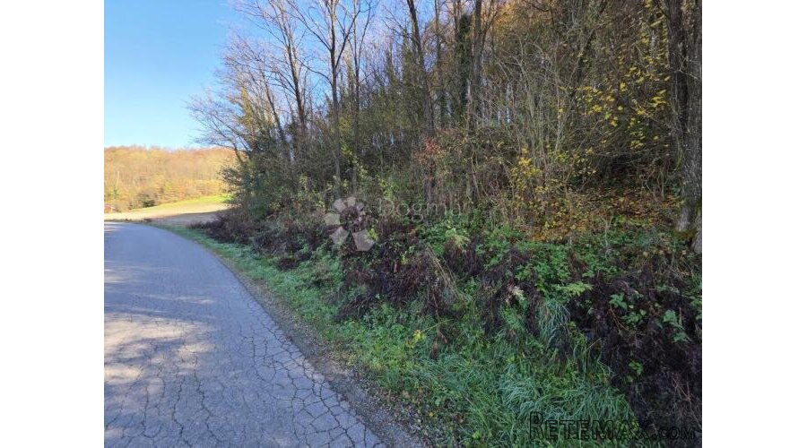 Šuma i pašnjak 7.182m² u Selnu kod Krapinskih Toplica - 2