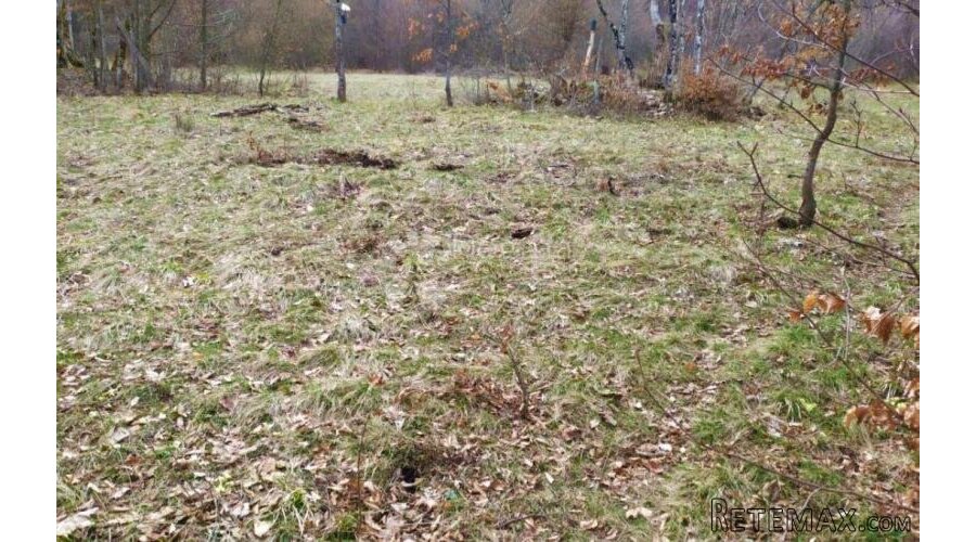 Divljina na vašoj strani – idealna lokacija za lov i potpunu - 3